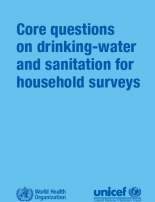Core questions for household surveys